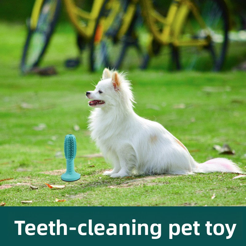 Dog Toothbrush Toy Natural Rubber Toothcleaning