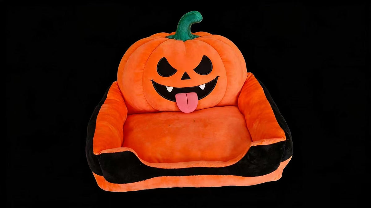 cat dog sofa bed