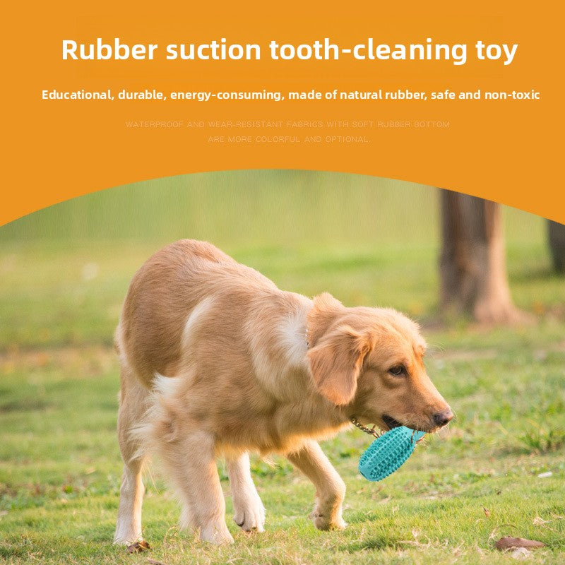 Dog Toothbrush Toy Natural Rubber Toothcleaning