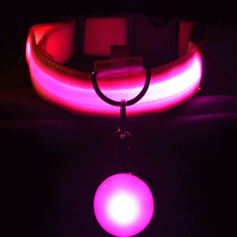 USB Rechargeable LED Luminous Dog Cat Collar