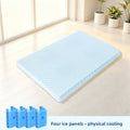Summer cat and dog physical cooling mats