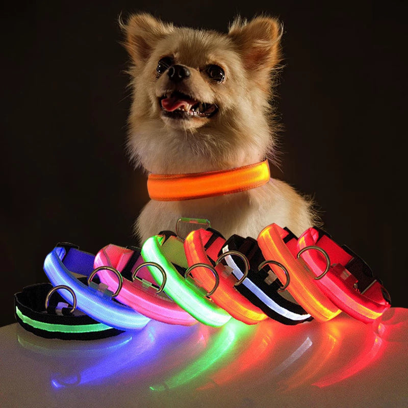 USB Rechargeable LED Luminous Dog Cat Collar